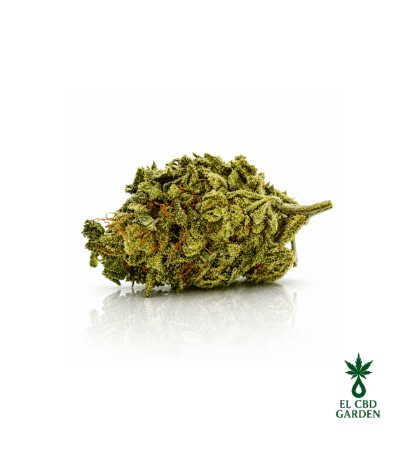 Super Lemon Haze CBD