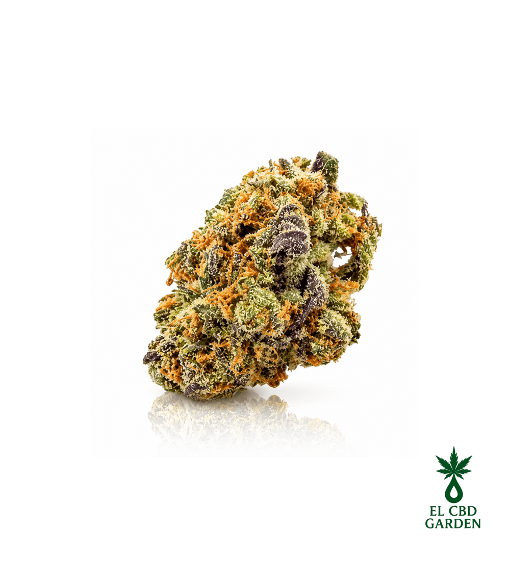Purple Punch CBD