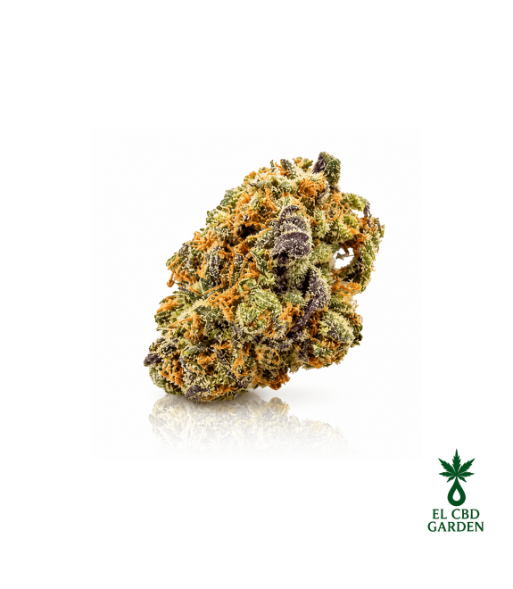 Purple Punch CBD