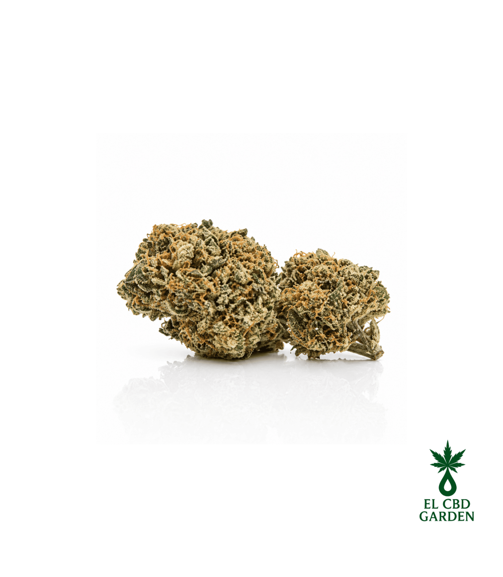 Green Gelato CBD