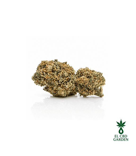 Green Gelato CBD