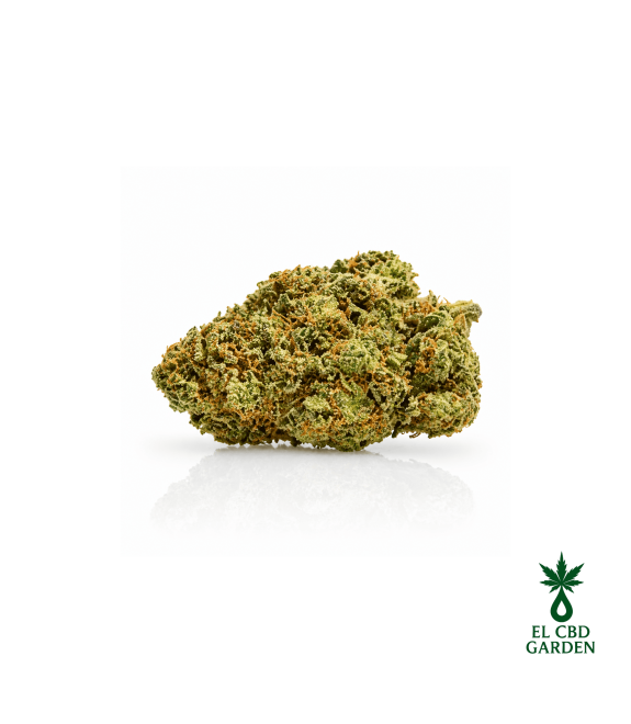 OG Kush CBD
