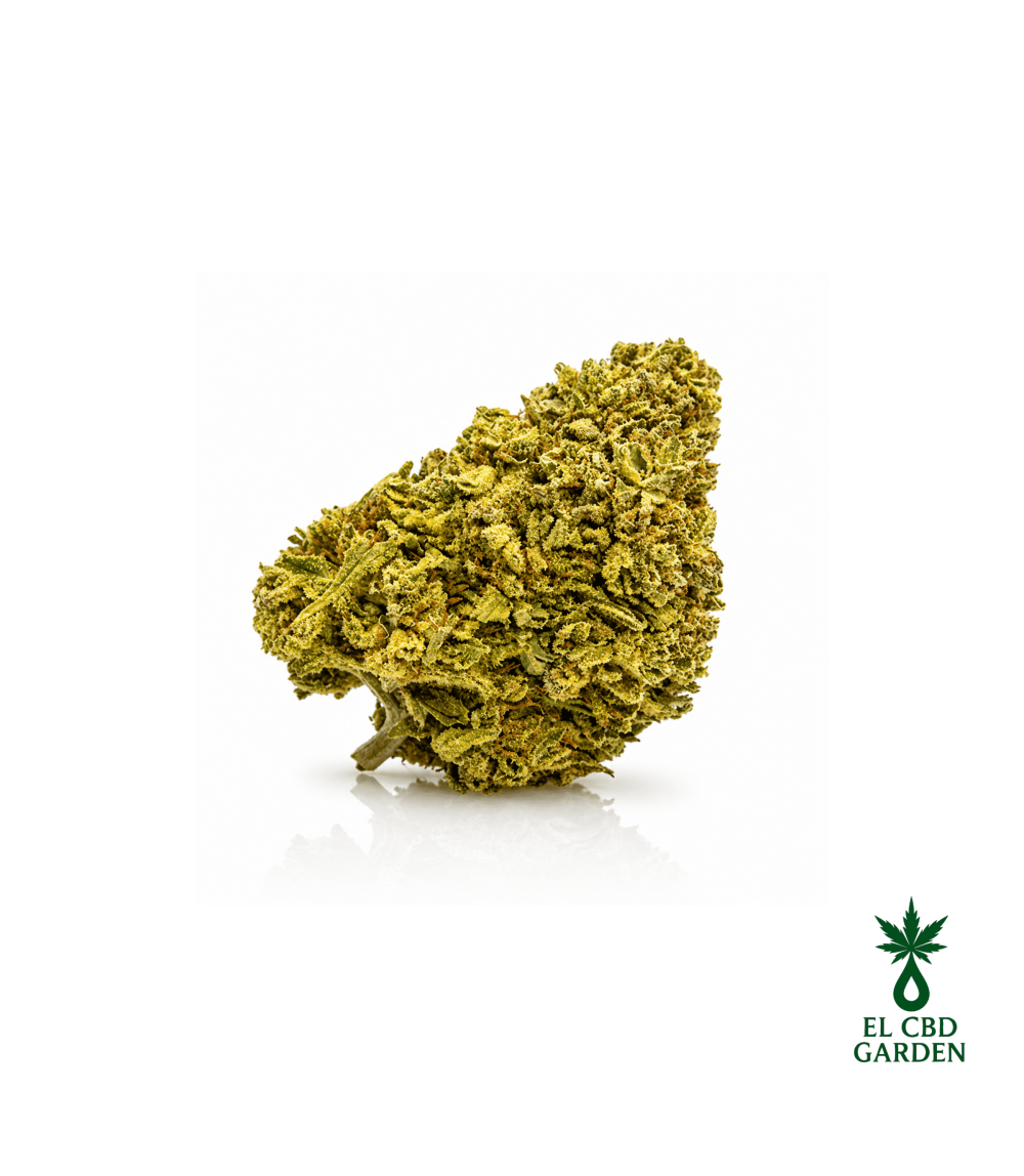 Gorilla Glue CBX