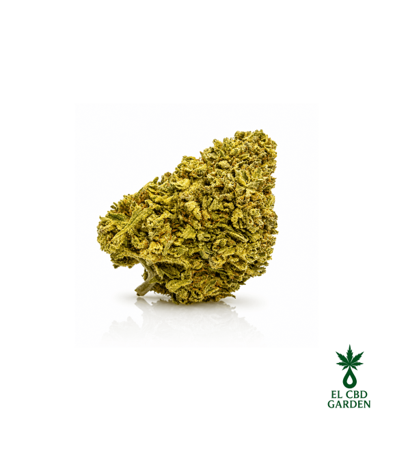 Gorilla Glue CBX